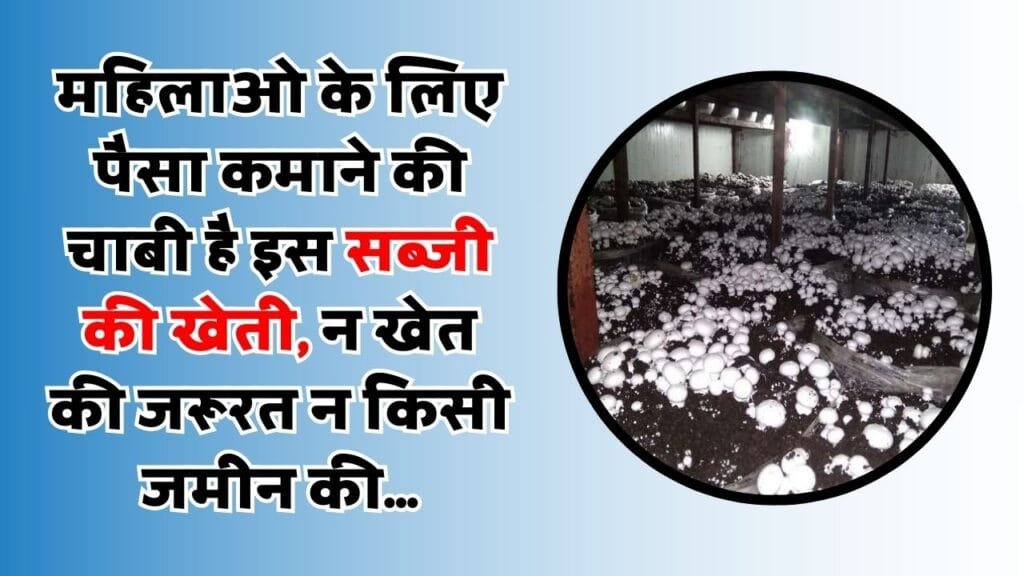 महिलाओ के लिए पैसा कमाने की चाबी है इस सब्जी की खेती, न खेत की जरूरत न किसी जमीन की...