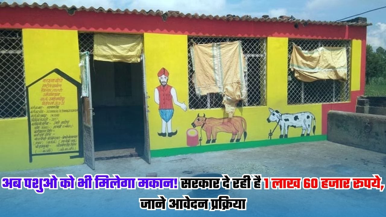 अब पशुओ को भी मिलेगा मकान! सरकार दे रही है 1 लाख 60 हजार रूपये, जाने आवेदन प्रक्रिया