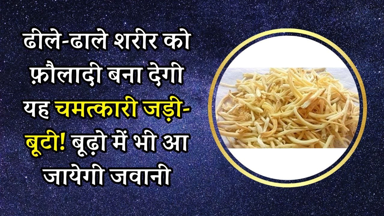 ढीले-ढाले शरीर को फ़ौलादी बना देगी यह चमत्कारी जड़ी-बूटी! बूढ़ो में भी आ जायेगी जवानी
