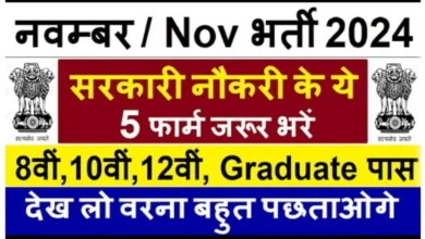 Job Vacancy in November 2024: नवंबर 2024 की टॉप 5 सरकारी नौकरियां, जाने कौनसी है नौकरियां