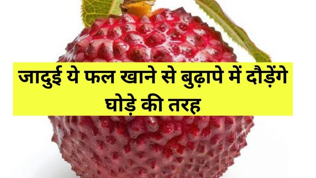 जादुई ये फल, खाने से बुढ़ापे में दौड़ेंगे घोड़े की तरह, जाने डिटेल में नहीं तो पछताना पड़ेगा