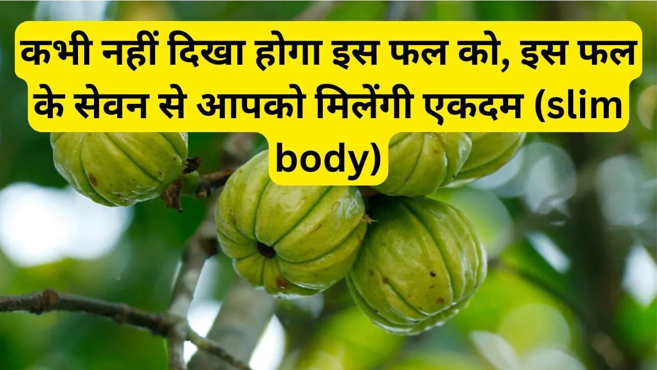 कभी नहीं दिखा होगा इस फल को, इस फल के सेवन से आपको मिलेंगी एकदम (slim body), जानिए नाम और का काम