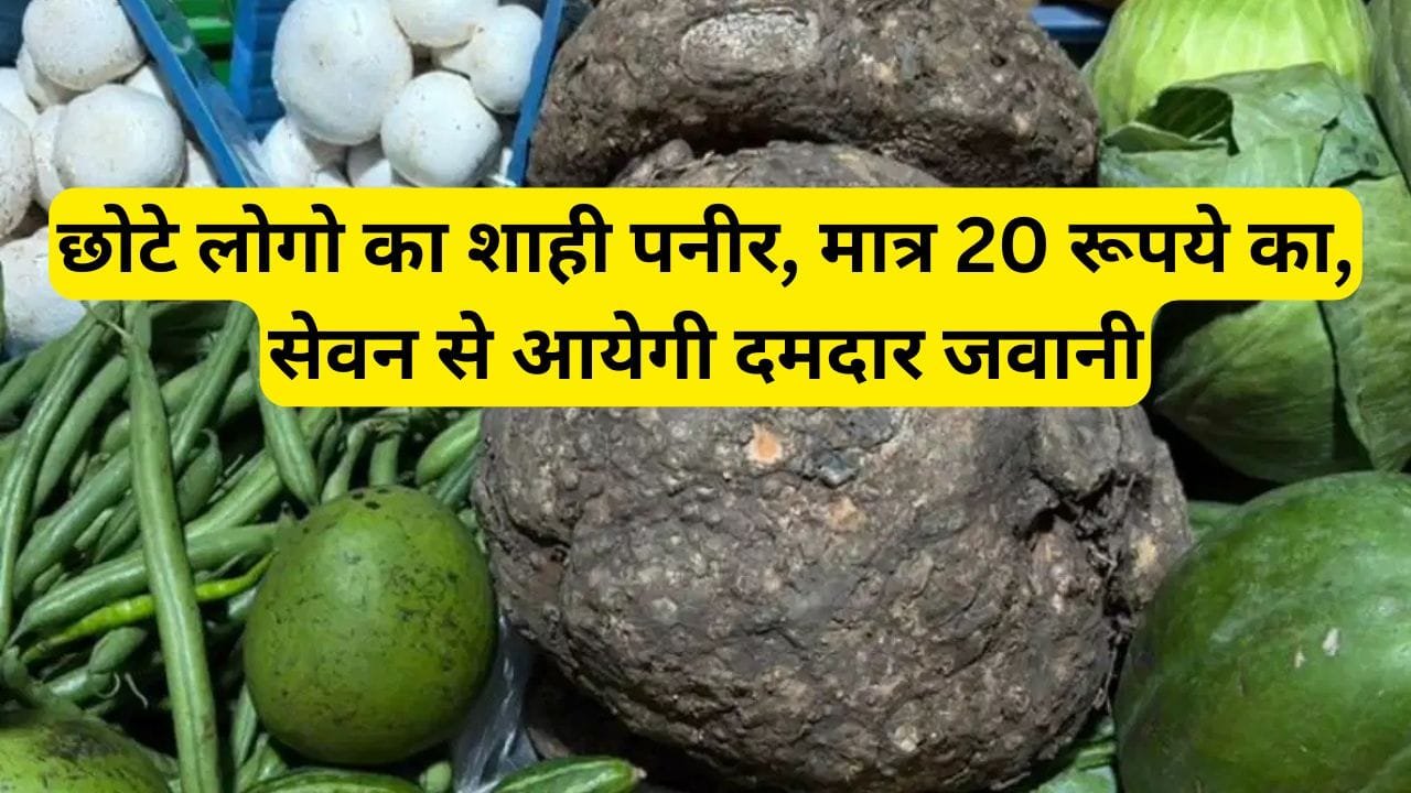 छोटे लोगो का शाही पनीर, मात्र 20 रूपये का, सेवन से आयेगी दमदार जवानी, जाने नाम इस अनोखी किस्म सब्जी का