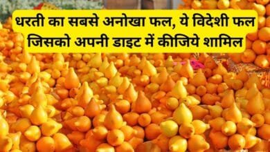 धरती का सबसे अनोखा फल, ये विदेशी फल जिसको अपनी डाइट में कीजिये शामिल, सेवन कर के आयेगी 2 गुना ज्यादा ताकत