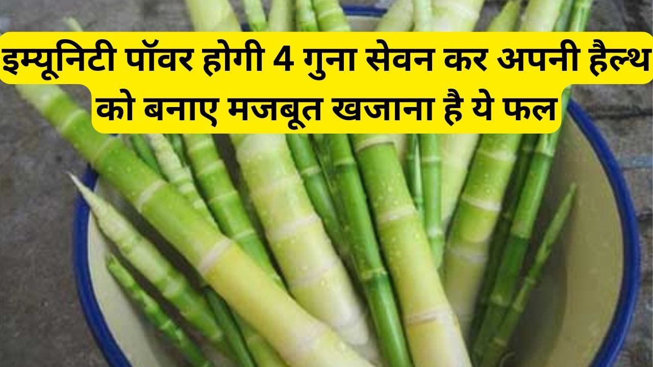 इम्यूनिटी पॉवर होगी 4 गुना सेवन कर अपनी हैल्थ को बनाए मजबूत, खजाना है ये फल, जाने इस फल के बारे में