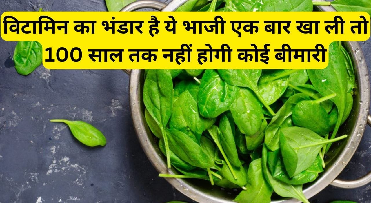 विटामिन का भंडार है ये भाजी एक बार खा ली तो 100 साल तक नहीं होगी कोई बीमारी, पढ़िए इस भाजी के नाम को