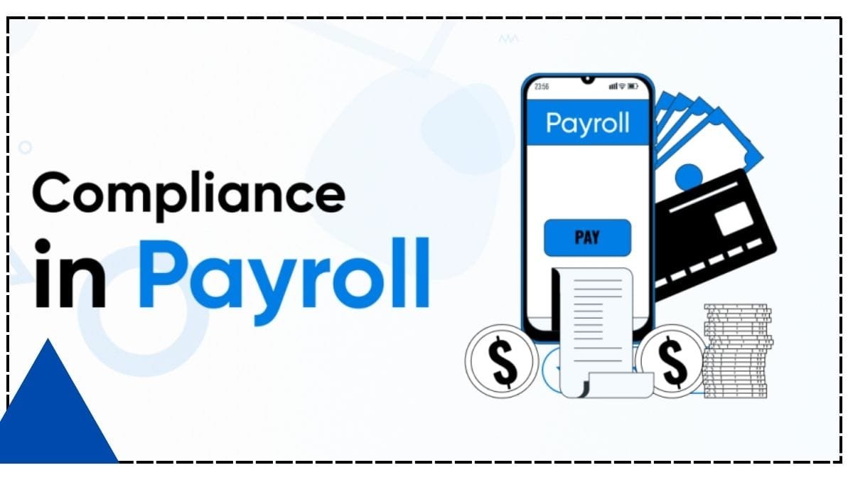 Comprehensive Guide to Employer Payroll Taxes,Key Insights for Compliance and Efficiency