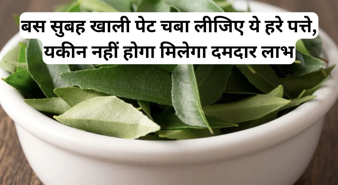 Health Tips: बस सुबह खाली पेट चबा लीजिए ये हरे पत्ते, यकीन नहीं होगा मिलेगा दमदार लाभ