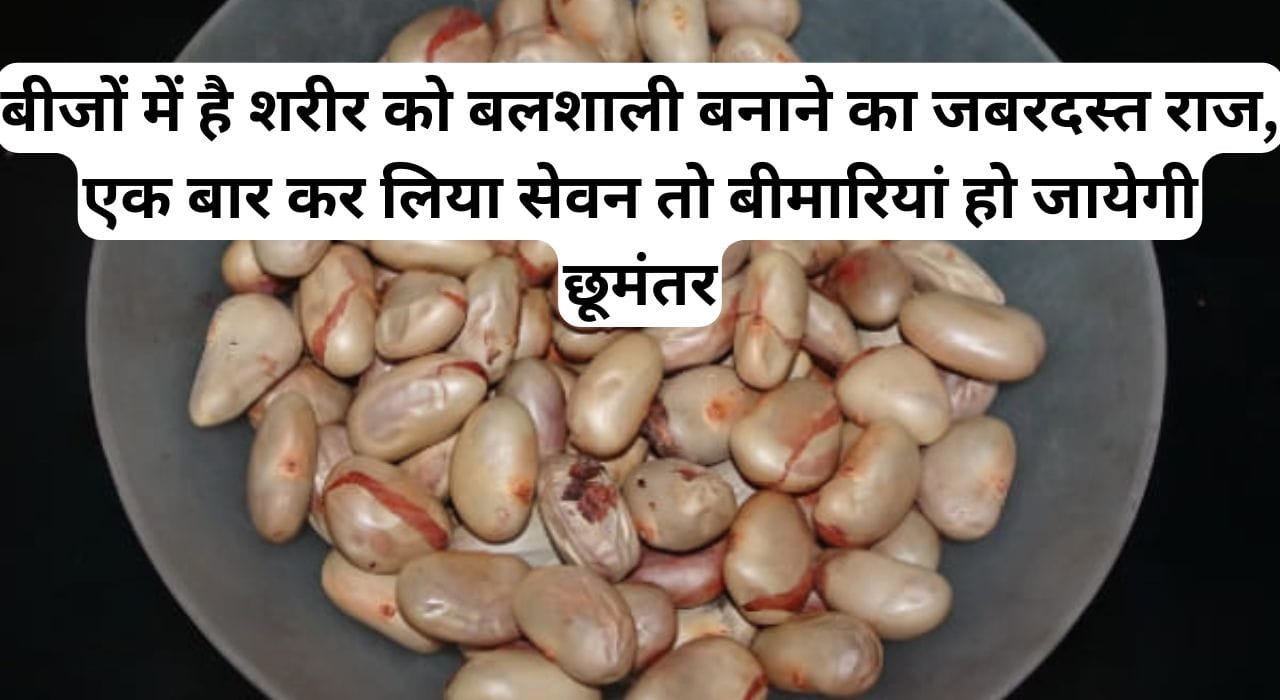 बीजों में है शरीर को बलशाली बनाने का जबरदस्त राज, एक बार कर लिया सेवन तो बीमारियां हो जायेगी छूमंतर, जानिए बीज का नाम