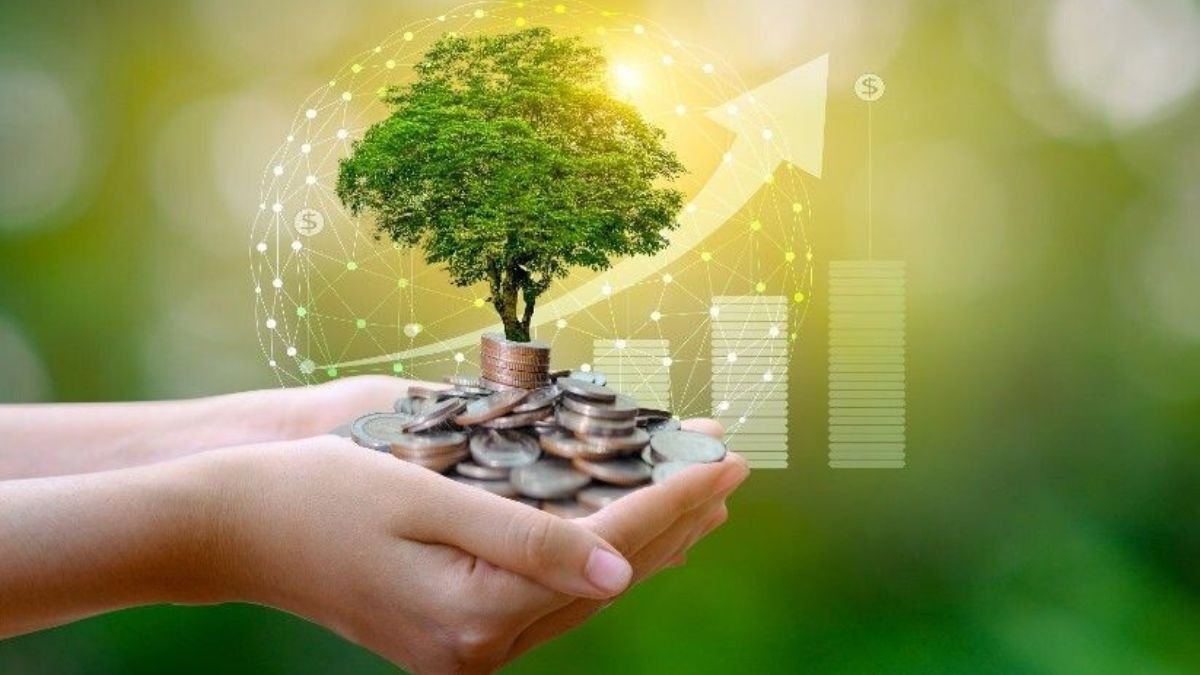 8000 रूपये में 10 किलो मिलने वाला अनोखी किस्म का ये फल एक बार की मेहनत में देगा जीवन भर पैसा